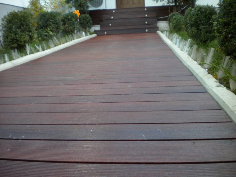 DSCN0051