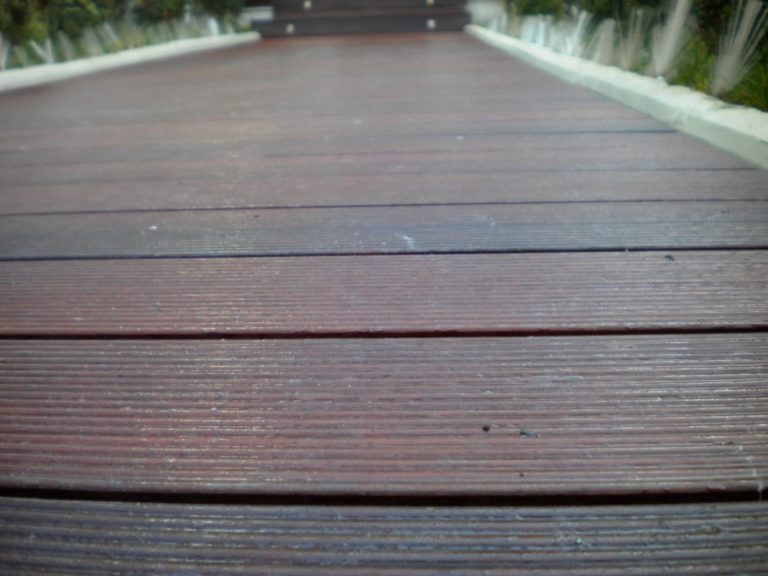 DSCN0052