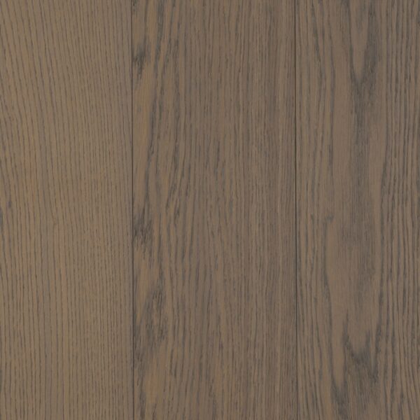Parchet Delight 'Harmony & Nature'