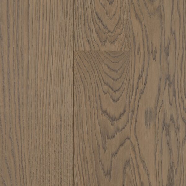 Parchet Emotion 'Harmony & Nature'