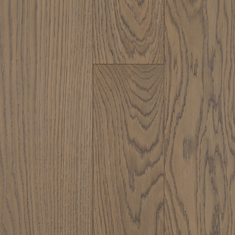 Parchet Emotion 'Harmony & Nature'