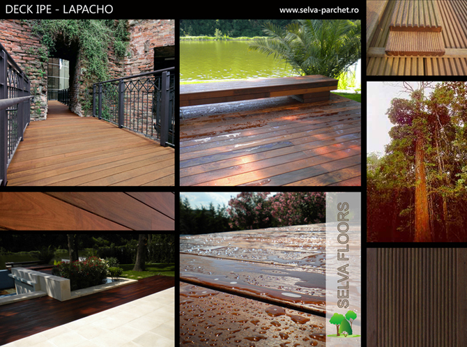 Deck Ipe Lapacho