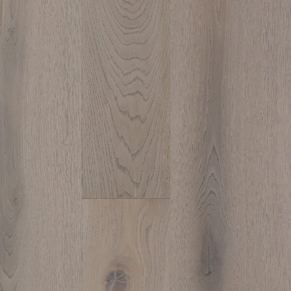 Parchet Quercia Platino 'Querce Millenarie'
