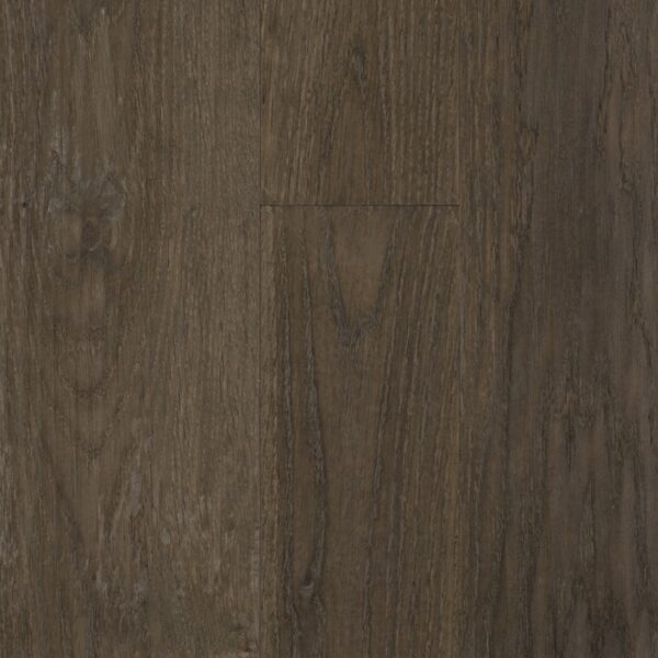Parchet Quercia Turchese 'Querce Millenarie'