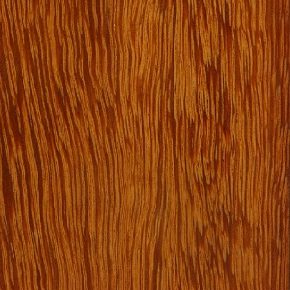 Deck Fava Amargosa