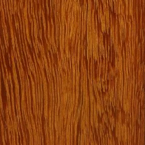 Deck Fava Amargosa